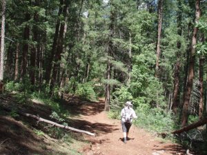 hiker on the East Webber Creek trail
