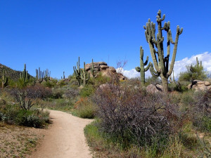 Hiking around Granite Mountain