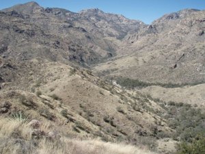 Sabino canyon to Bear Canyon loop hike