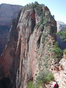 Angels landing at Zion national park