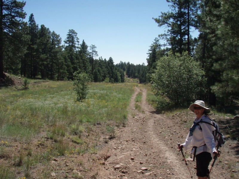 Arizona Hiking - Pipeline Trail