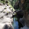 Pool in Willow Valley