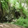 spring along Grapevine creek