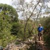 Hiking along the Huckaby trail