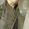 Rappeling in Sundance canyon