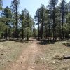 Hiking along the Canyon point sinkhole trail