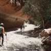 hiking on the Havasupai trail