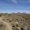 Union peak trail (Phoenix sonoran preserve)