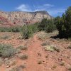 Along the Wilson Mountain (South) trail