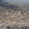 East Wing mountain trail