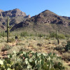 Views of the Superstition Wilderness