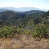 Along the Thicket spring mine trail