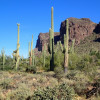 Views of the Superstition Wilderness