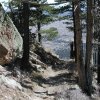 The Elden lookout trail