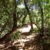 The trail through Fay canyon