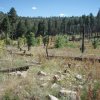 Telephone Ridge trail
