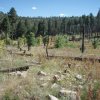 Telephone Ridge trail