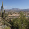 Hiking along the Jojoba trail