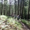 hikers on the Aspen loop trail