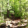 hiking to the railroad tunnel