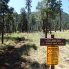 Hiking on the Little Bear trail