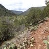 Views of Woods Canyon from the trail