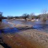 Rare water flowing in a desert wash: Romero pools trail