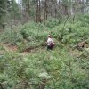 Hiker enjoying the Donahue trail