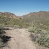 Along the Javalina mine trail