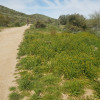 views from the scenic loop hike