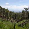 views from the Aspen loop trail