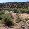 Old corral along the Tule trail