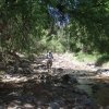 hiker hiking along Red Creek