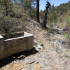 Old spring along the Boy scout trail