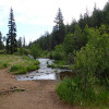 Little Colorado - Government Springs trail