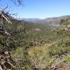 Fossil Springs trail