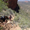 Hiking up to the top of Capitol Butte