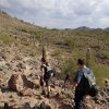 Hikers enjoying the westwing mountain trail