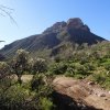 Views from White Canyon trailhead