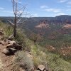 Wilson Mountain (South) trail