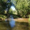 Views along the Verde River from the Greenway Trail