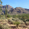 Views of the Superstition Wilderness