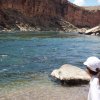 Rafters on the Colorado river as seen from Cathedral Wash