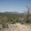 Views from the Miller creek trail