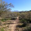 Four Peaks as seen from the Lower Soldier Camp trail