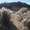 Slate mountain trail