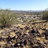 Hiking in the Thunderbird Conservation Park