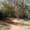 Fall colors along the Templeton trail