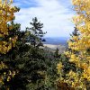 Fall colors along the Bear Jaw trail