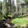 Little Colorado - Government Springs trail